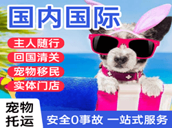 瑷珲航空运输国际宠物托运 【国